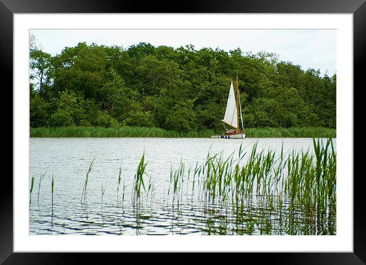 fairhaven Framed Mounted Print by rachael hardie