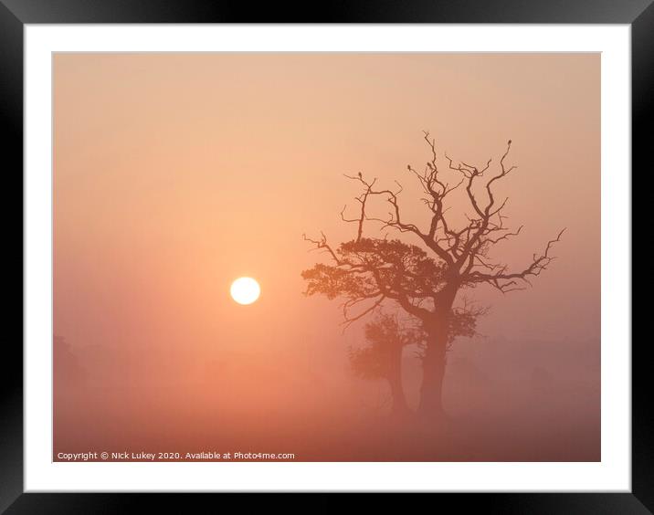 sunrise on a misty morning swarkestone derbyshire Framed Mounted Print by Nick Lukey
