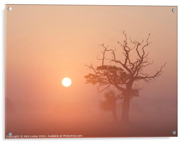 sunrise on a misty morning swarkestone derbyshire Acrylic by Nick Lukey