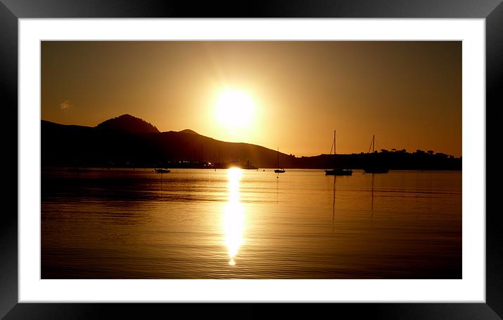 Reflecting Sun Framed Mounted Print by Louise Godwin