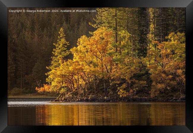 Autumn gold at Loch Ard Framed Print by George Robertson