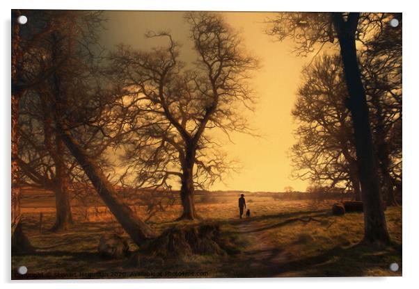 Evening Stroll Acrylic by Stewart Mcquillian