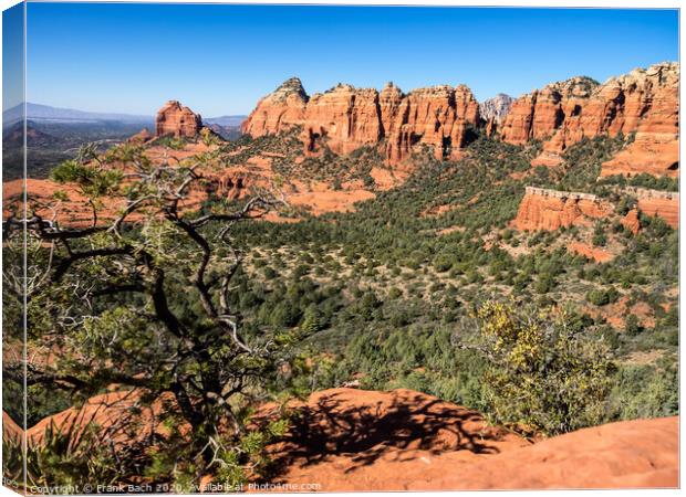Rock formations in Sedona, Arizona Canvas Print by Frank Bach