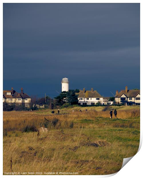 Hoylake Lighthouse Dunes Print by Liam Neon