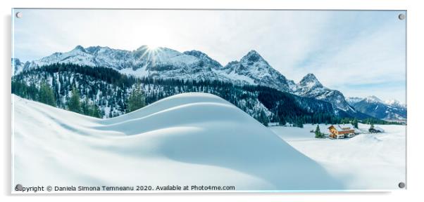 Winter landscape in the Austrian Alps. Beautiful clean white snow Acrylic by Daniela Simona Temneanu