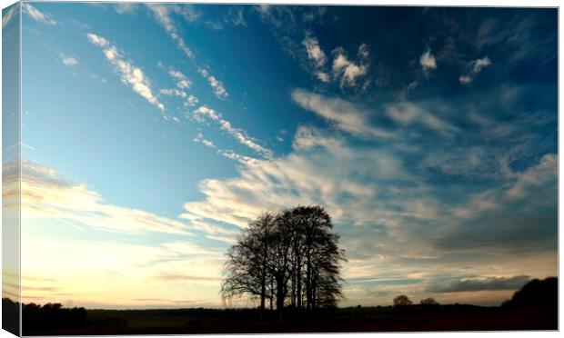 jTrees and clouds Canvas Print by Simon Johnson