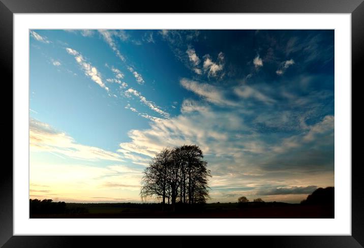 jTrees and clouds Framed Mounted Print by Simon Johnson