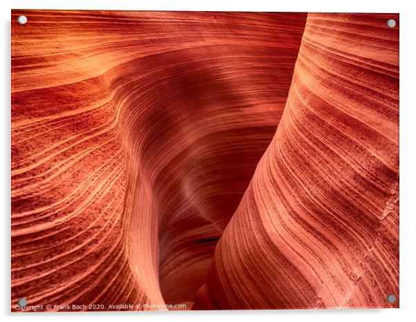 Close up from Rattlesnake Canyon near Page, Arizona Acrylic by Frank Bach