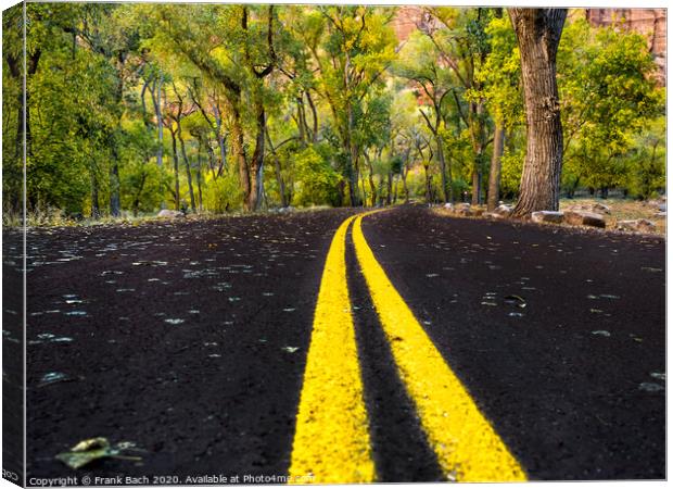 Road in Zion National Park, Utah Canvas Print by Frank Bach