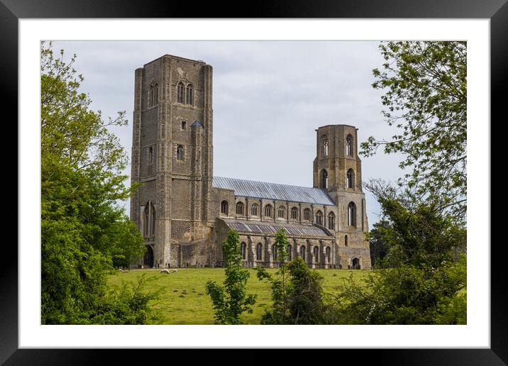 Wymondham Abbey between the trees Framed Mounted Print by Jason Wells