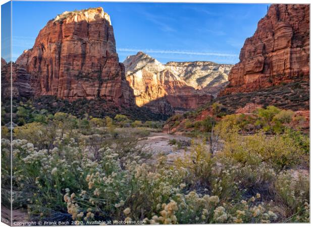 Zion National Park Angels landing, Utah Canvas Print by Frank Bach
