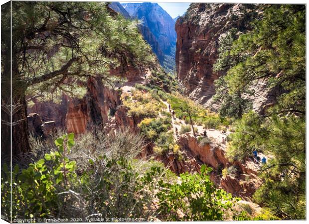 Zion National Park from the track to Angels landing, Utah Canvas Print by Frank Bach