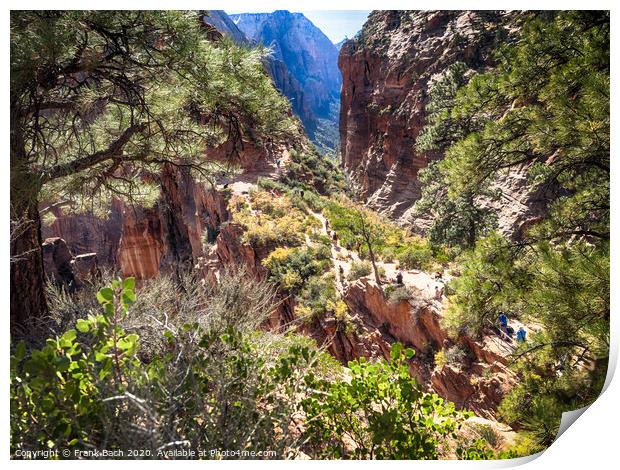 Zion National Park from the track to Angels landing, Utah Print by Frank Bach