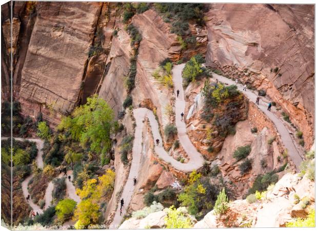 Walter's wiggles Path to Angels Landing in Zion national park Canvas Print by Frank Bach