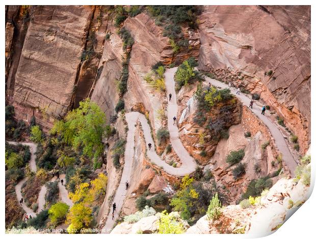 Walter's wiggles Path to Angels Landing in Zion national park Print by Frank Bach