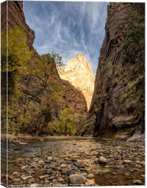 Entrance to the Narrows Zion national park, Utah Canvas Print by Frank Bach