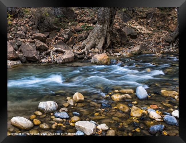 Creek in the Narrows Zion national park, Utah Framed Print by Frank Bach