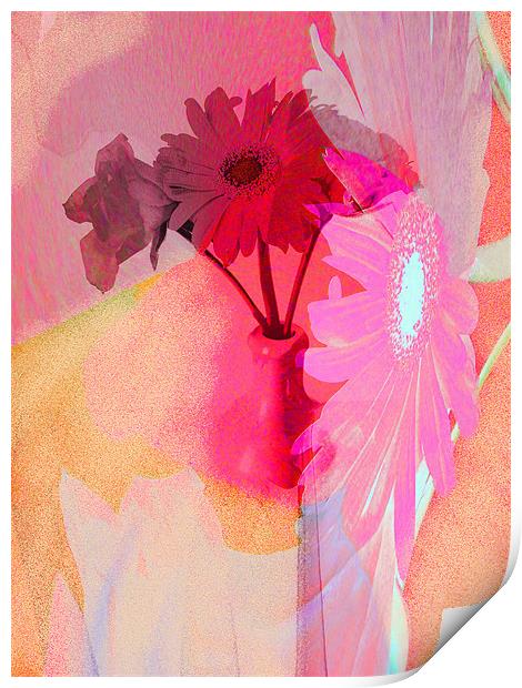 floral abstract Print by joseph finlow canvas and prints