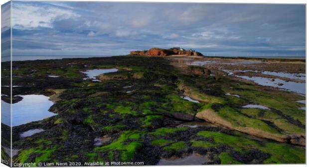 Hilbre on the Rocks Canvas Print by Liam Neon