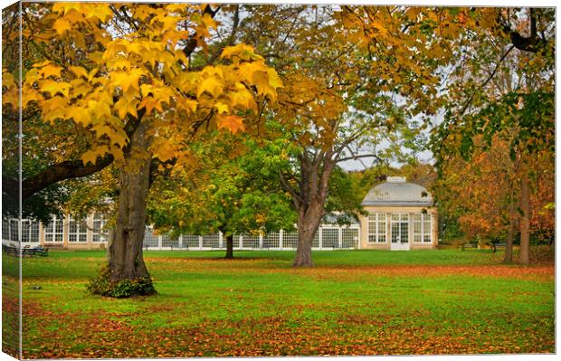 Sheffield Botanical Gardens in Autumn     Canvas Print by Darren Galpin