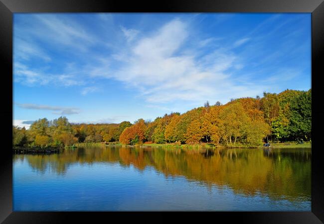 Dearne Valley Country Park in Autumn Framed Print by Darren Galpin