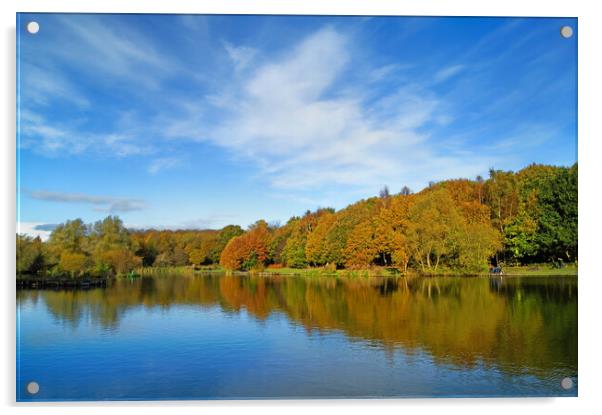 Dearne Valley Country Park in Autumn Acrylic by Darren Galpin