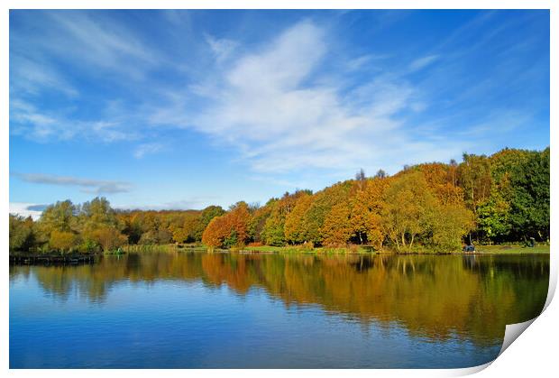 Dearne Valley Country Park in Autumn Print by Darren Galpin