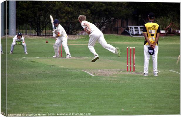 Flight of the Fast Bowler Canvas Print by Stephen Hamer