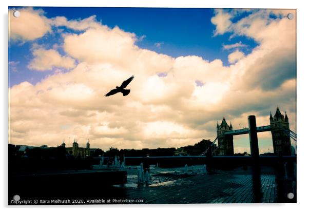 Flying free over the city Acrylic by Sara Melhuish