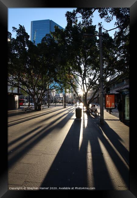 Shadows in Sydney Framed Print by Stephen Hamer