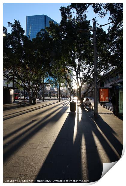 Shadows in Sydney Print by Stephen Hamer