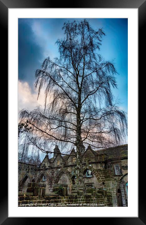 The Willow Tree - 03 Framed Mounted Print by Trevor Camp