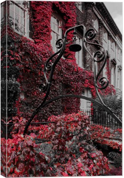Autumn at Queens Square Bath as the Ivy turns red  Canvas Print by Duncan Savidge