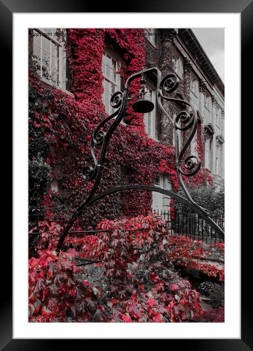 Autumn at Queens Square Bath as the Ivy turns red  Framed Mounted Print by Duncan Savidge