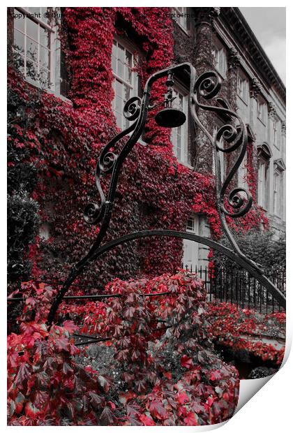 Autumn at Queens Square Bath as the Ivy turns red  Print by Duncan Savidge