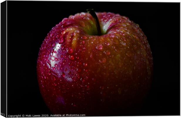 An apple a day keeps the doctor away  Canvas Print by Malc Lawes