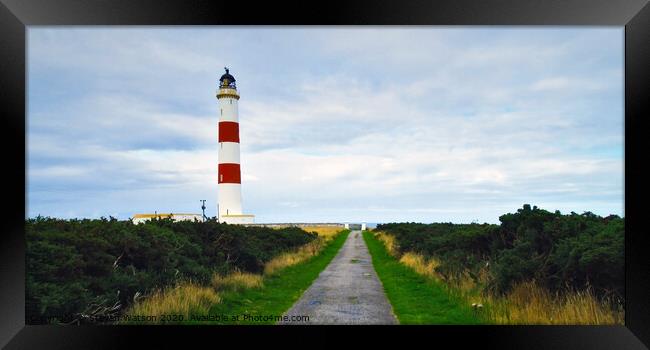 Tarbat Ness Lighthouse Framed Print by Steven Watson