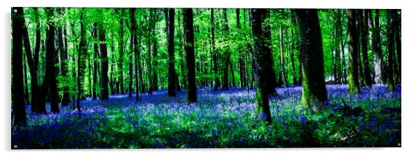 Bluebell Wood, Tavistock, Devon Acrylic by Maggie McCall