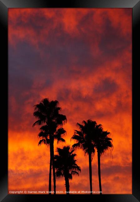 Palm Tree Sunset Framed Print by Darren Mark Walsh
