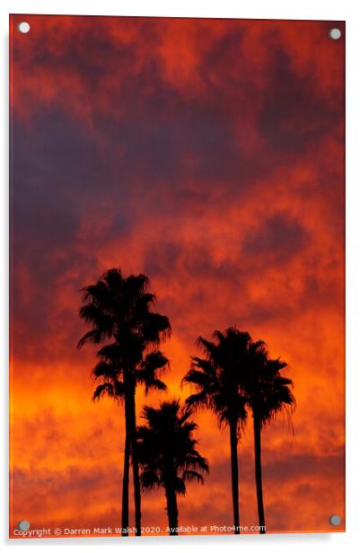 Palm Tree Sunset Acrylic by Darren Mark Walsh