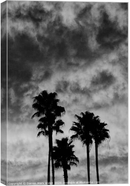 Palm Tree Silhouette Canvas Print by Darren Mark Walsh