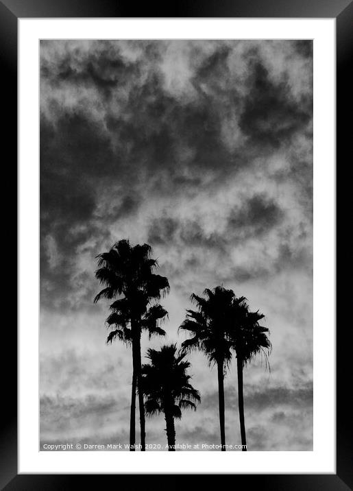 Palm Tree Silhouette Framed Mounted Print by Darren Mark Walsh