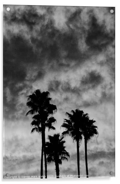 Palm Tree Silhouette Acrylic by Darren Mark Walsh