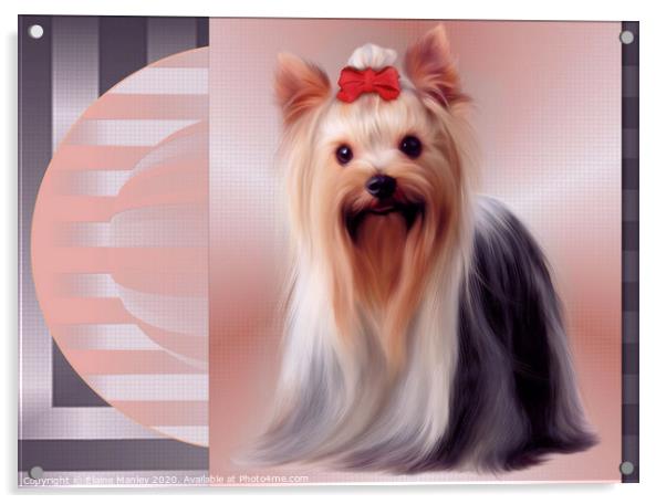Yorkshire Terrier Acrylic by Elaine Manley