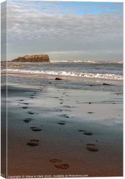 Footprints in the Sand Canvas Print by Steve H Clark