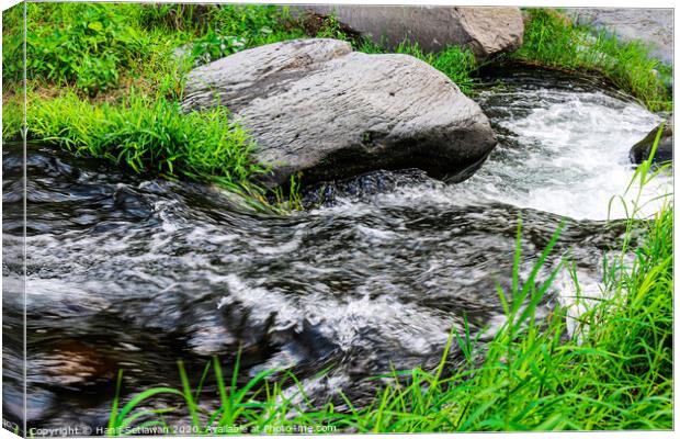 Wild creek with stones and grass 2 Canvas Print by Hanif Setiawan