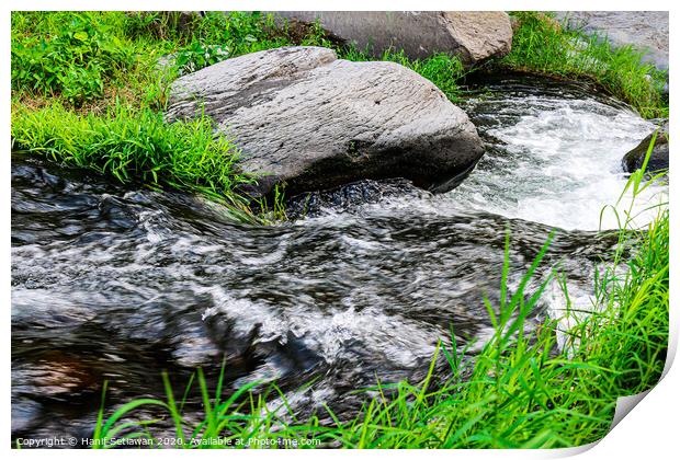 Wild creek with stones and grass 2 Print by Hanif Setiawan