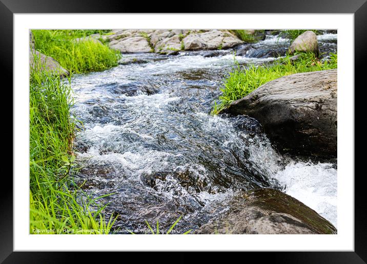 Wild creek with stones and grass 3 Framed Mounted Print by Hanif Setiawan