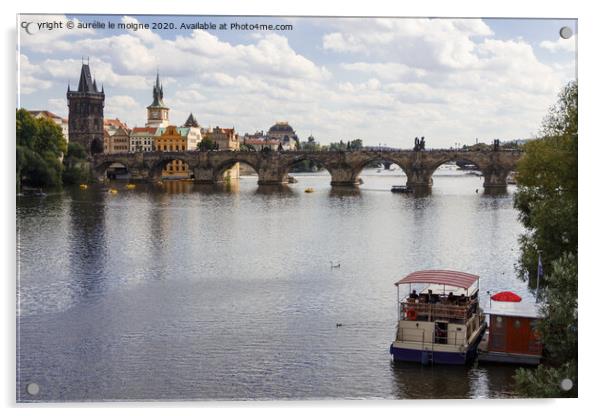 Vltava river in Prague Acrylic by aurélie le moigne