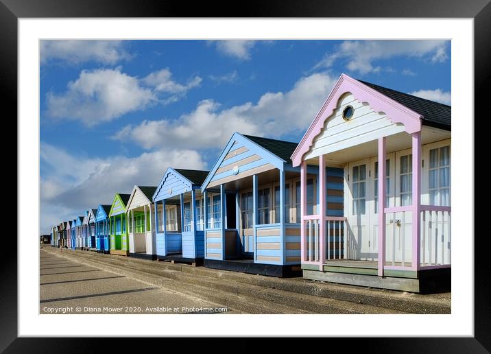 Southwold beach huts  Framed Mounted Print by Diana Mower